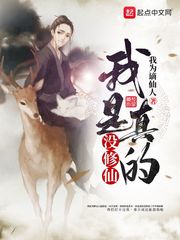武之极:执掌轮回